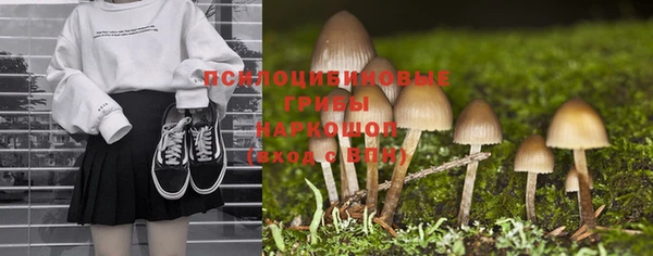 спайс Верея