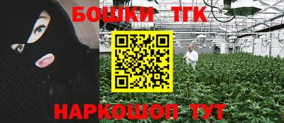 спиды Аргун