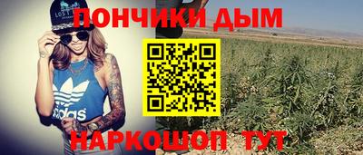 спиды Аргун