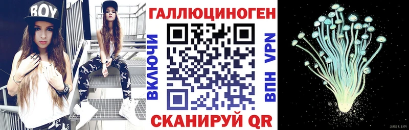 Псилоцибиновые грибы Psilocybine cubensis  блэк спрут рабочий сайт  Назарово 