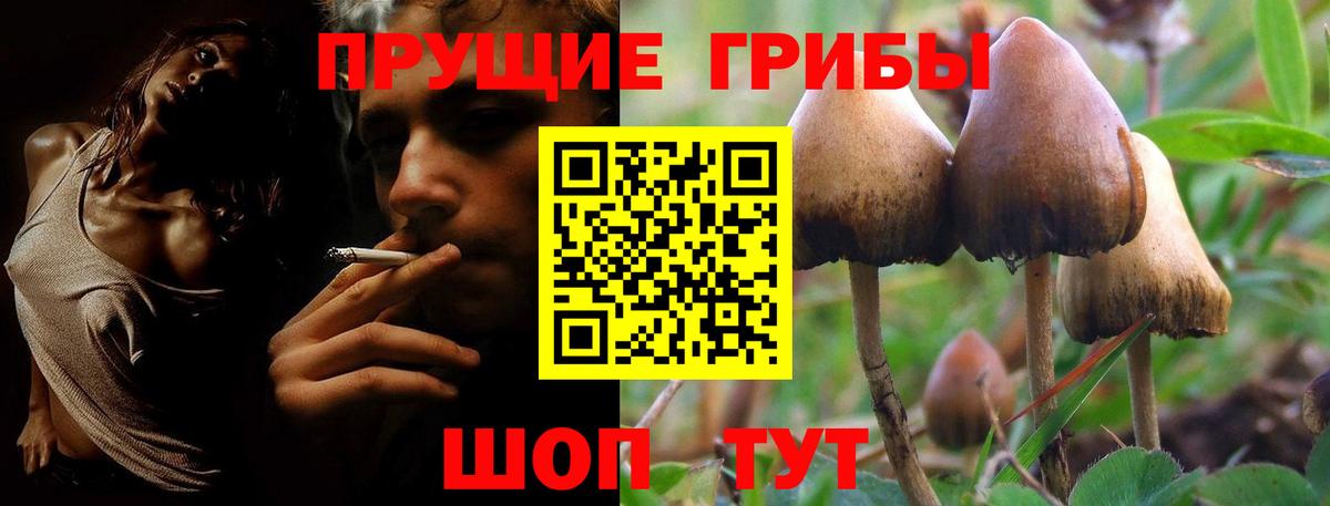 Псилоцибиновые грибы прущие грибы  Вход с VPN  Назарово 