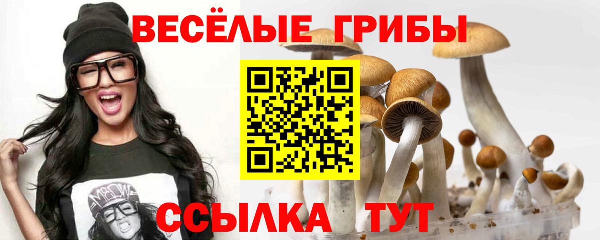 Галлюциногенные грибы мухоморы Назарово
